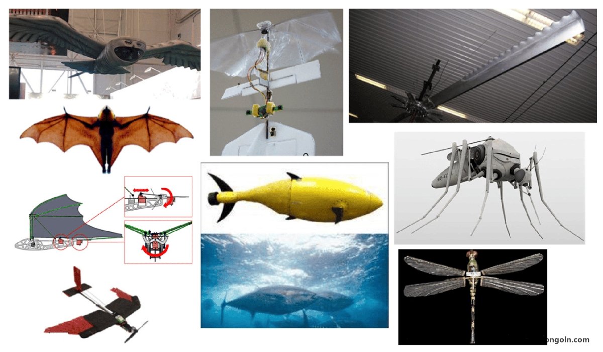 Biomimicry in Flight