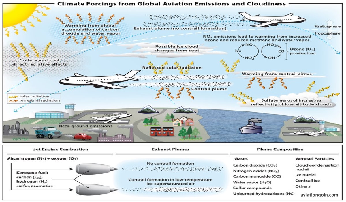 The Impact of External Factors