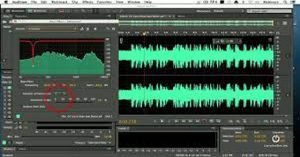 Verbal Communication