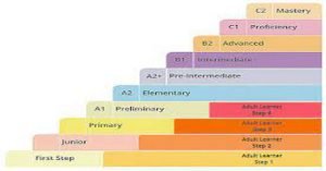 English Language Proficiency Requirements