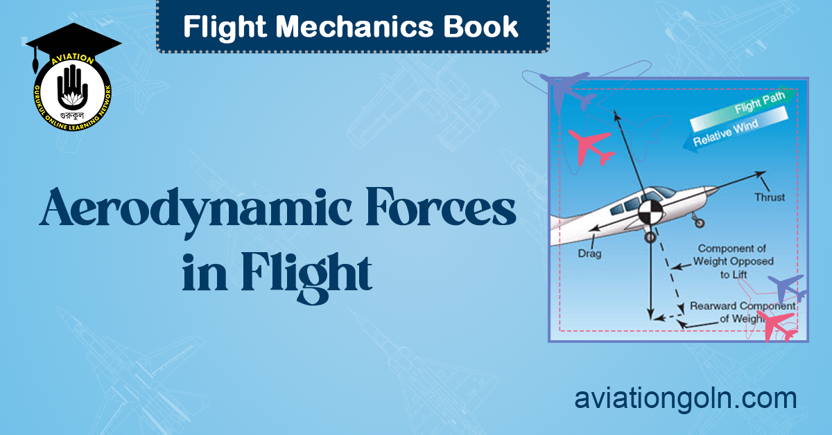Aerodynamic Forces in Flight
