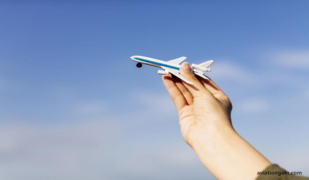 Aviation Career