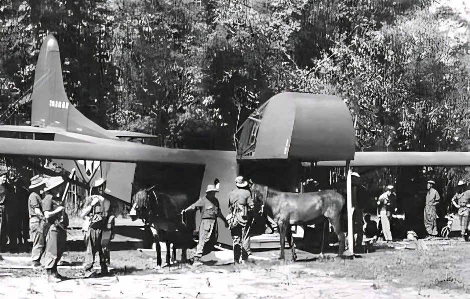 British Plane in Hathazari Airfield